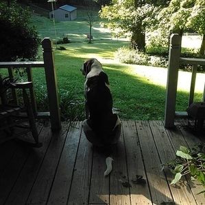 Meet your Posher, Walker